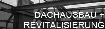 DAchausbaue + Revitalisierung